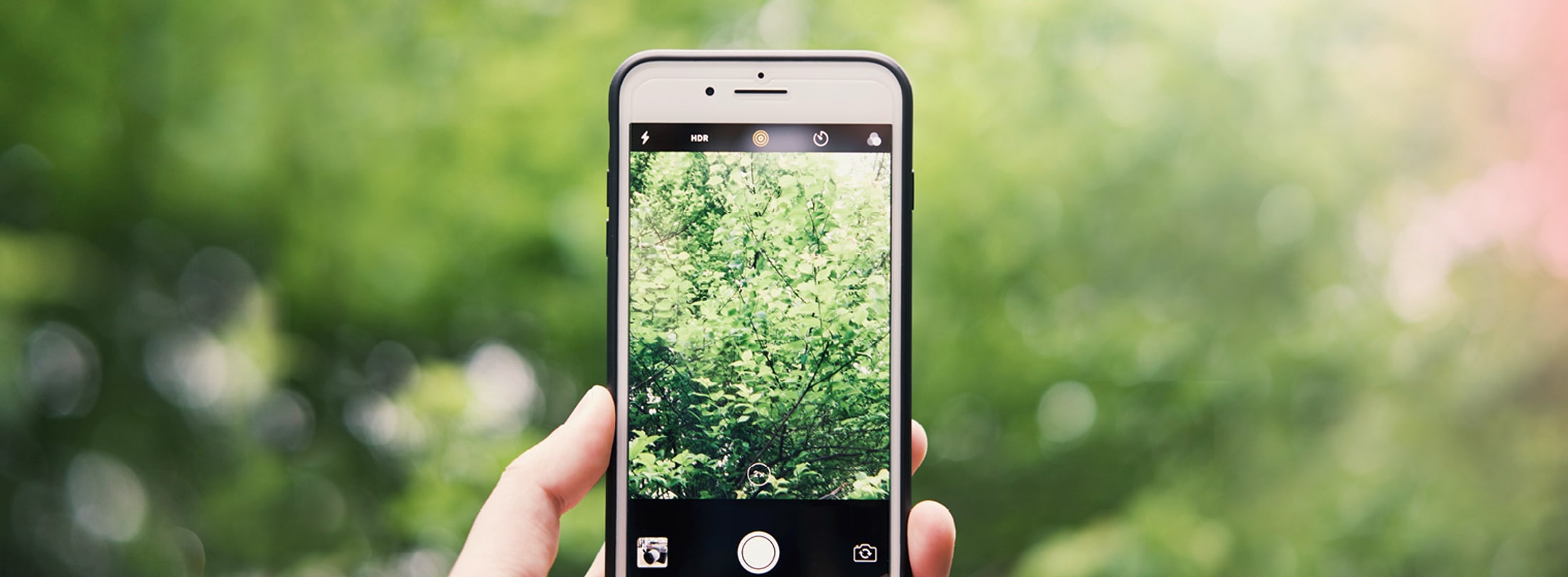 Umweltmanagement Hand mit Smartphone macht Foto von einem Baum