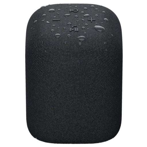 Sony LinkBuds SRS-LS1B