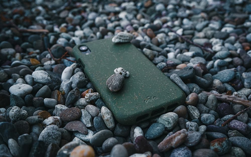 Pela Case
