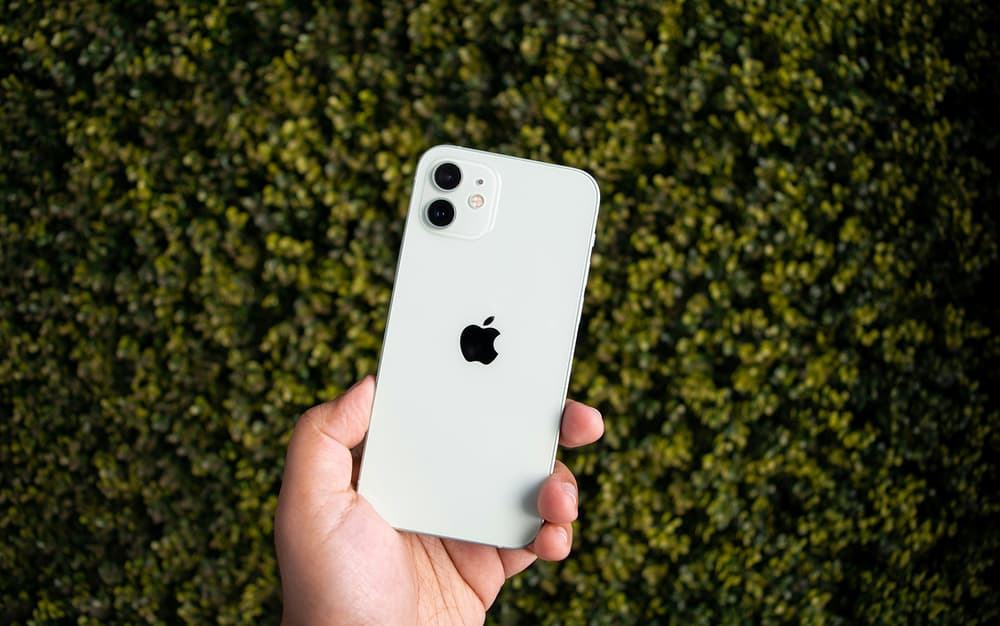 iPhone auf grünem Hintergrund