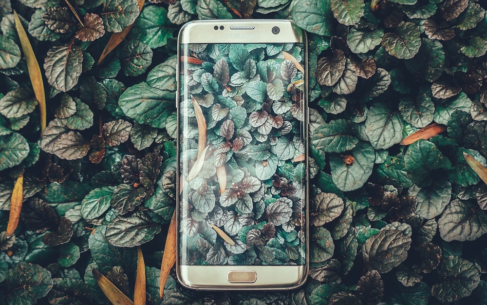 Smartphone relaxt auf Blättern in der Natur