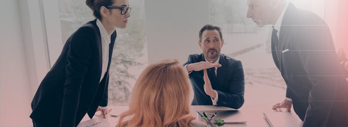 role as a private individual, employee and ambassador