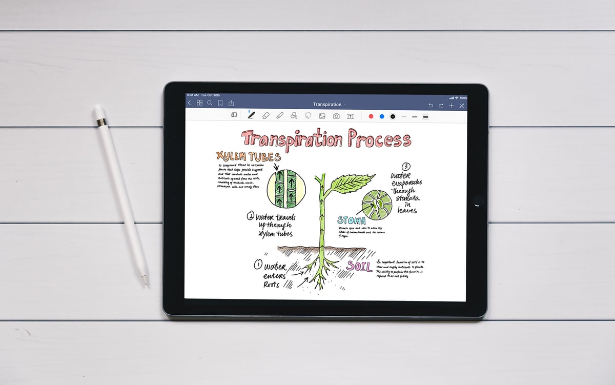 evernote apple pencil