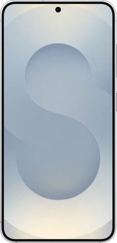 Samsung Galaxy S25 5G Silver Shadow Dual-SIM