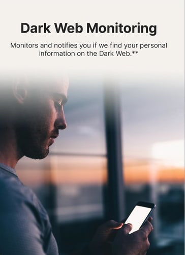 Norton 360 Standard Virus Protection Box