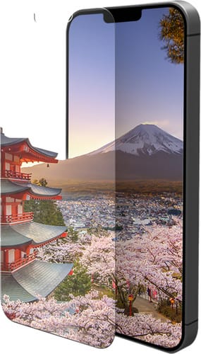 Eiger iPhone 12 / 12 Pro screen protector Glas flach