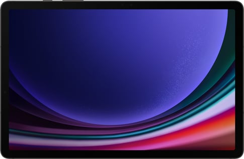 Samsung Galaxy Tab S9 5G Gray 256GB