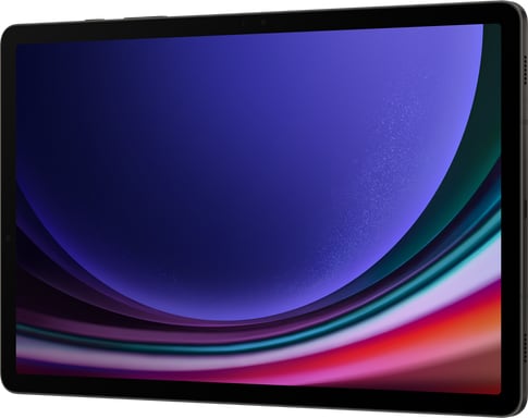 Samsung Galaxy Tab S9 5G Gray 256GB