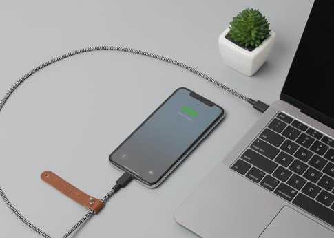 Native Union Data Cable USB C to Lightening (1.2m) Zebra