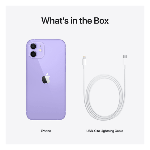 Apple iPhone 12 Purple