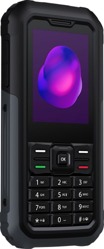 TCL 3189 4G Himalaya Grey