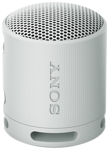 Sony SRS-XB100 Speaker grey