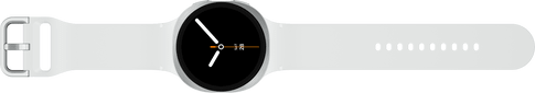 Samsung Galaxy Watch8 LTE 44mm Silver
