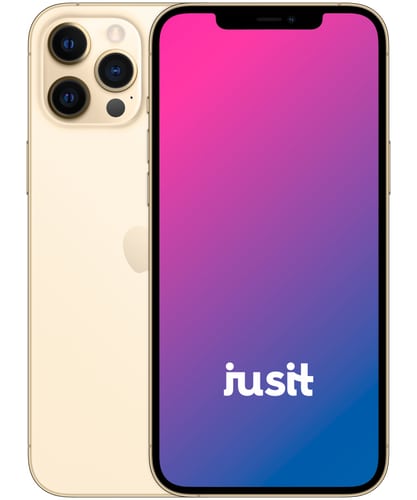 Produktbild_JUSIT_Apple_iPhone 12 Pro Max_Gold.png