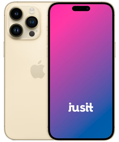 Produktbild_JUSIT_Apple_iPhone 14 Pro Max_Gold.png