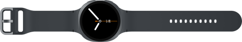 Samsung Galaxy Watch8 LTE 44mm Graphite