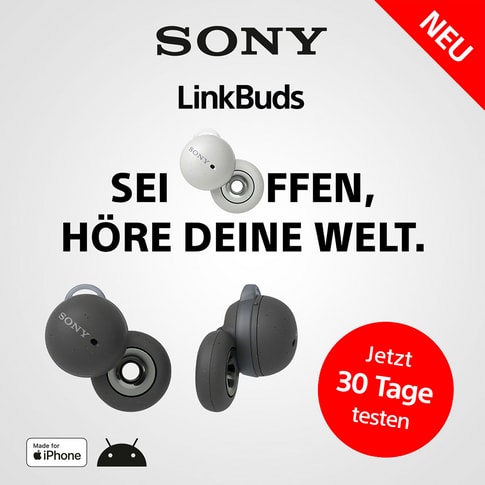 Sony Wireless In Ear LinkBuds WFL900