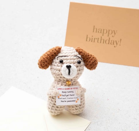 Apfelkiste Positive Dog