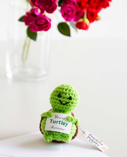 Apfelkiste Positive Turtle