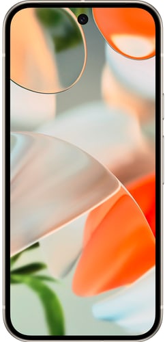Google Pixel 9 5G Porcelain