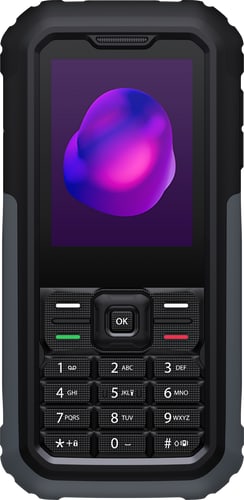 TCL 3189 4G Himalaya Grey