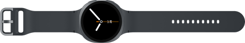 Samsung Galaxy Watch8 LTE 44mm Graphite