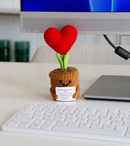 Apfelkiste Positive Plant
